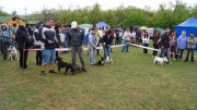 dsc08291_1200x674.jpg