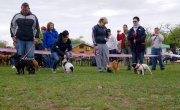 dsc08294_1200x734.jpg