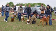 dsc08300_1200x674.jpg