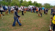 dsc08310_1200x674.jpg