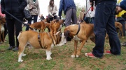 dsc08315_1200x674.jpg