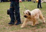 dsc08336_1200x829.jpg