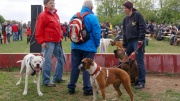 dsc08350_1200x674.jpg