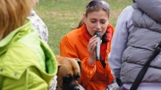 dsc08367_1200x674.jpg