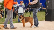 dsc08483_1200x674.jpg