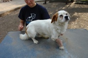 dsc08499.jpg