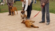 dsc08532_1200x674.jpg