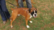 dsc08550_1200x674.jpg