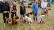 dsc08553_1200x674.jpg