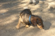 dsc08983.jpg