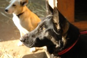 dsc09384.jpg
