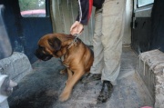 dsc09445.jpg