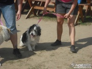 dscf0223.jpg