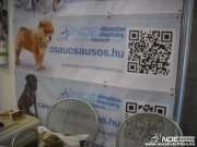 dscf0914.jpg