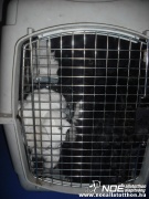 dscf0915.jpg