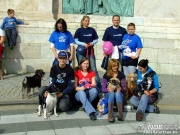 dscf2834.jpg