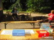 dscf6903_2.jpg