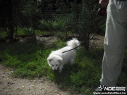 dscf6963.jpg