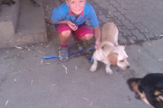 imag0528.jpg