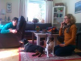 imag0552.jpg