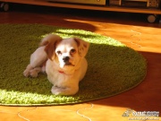 img_9282_2.jpg