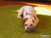 img_9316_2.jpg