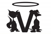 orvangyal_logo.JPG