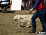 pict0057.jpg