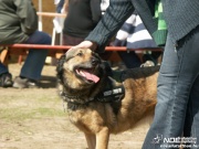 pict0064.jpg