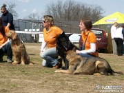 pict0100.jpg