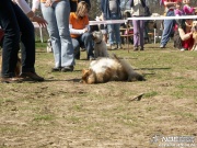 pict0103.jpg