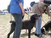 pict0220.jpg