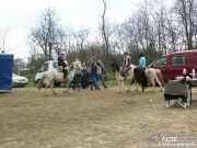 pict0631.jpg