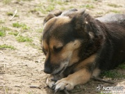 pict0679.jpg
