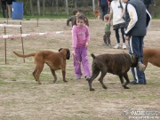 pict0696.jpg