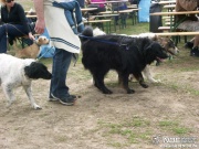 pict0718.jpg