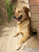 pict2094.jpg