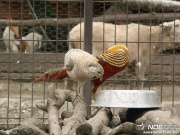 pict2504.jpg