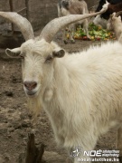 pict2542.jpg