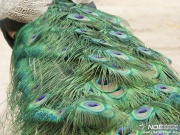 pict2573.jpg