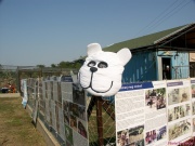 pict6572.jpg