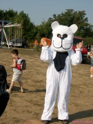 pict6598.jpg