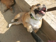 pict6604.jpg