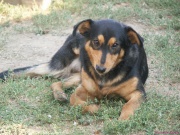 pict6613.jpg
