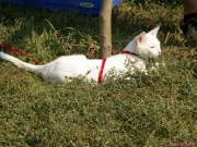 pict6635.jpg