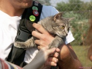 pict6641.jpg