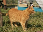 pict6647.jpg
