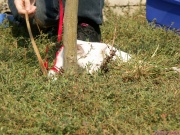 pict6648.jpg