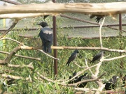 pict6692.jpg