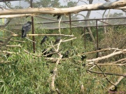 pict6693.jpg